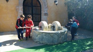 ιδιωτικό δημοτικό σε εκδρομή για την ελιά