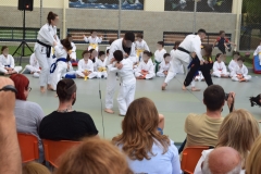 Αθλητικές επιδείξεις (13)