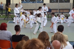 Αθλητικές επιδείξεις (14)