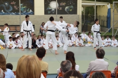 Αθλητικές επιδείξεις (15)