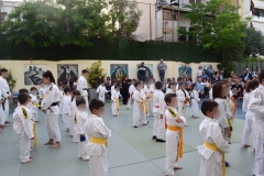 Αθλητικές επιδείξεις (16)