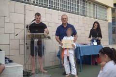 Αθλητικές επιδείξεις (17)