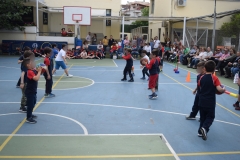 Αθλητικές επιδείξεις (2)