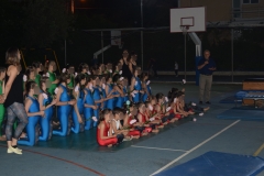 Αθλητικές επιδείξεις (23)