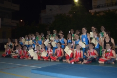 Αθλητικές επιδείξεις (25)