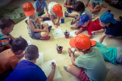 Summer camp εκπαιδευτήρια Γ (3)