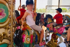 Ατελείωτη διασκέδαση στα Αηδονάκια (3)