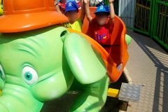 Ατελείωτη διασκέδαση στα Αηδονάκια (5)