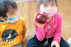 Γνωρίζοντας τα φθινοπωρινά φρούτα (1)