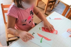 Γνωρίζοντας τα φθινοπωρινά φρούτα (3)