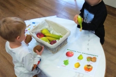 Γνωρίζοντας τα φθινοπωρινά φρούτα (5)