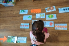 Γνωρίζοντας τα φθινοπωρινά φρούτα (6)