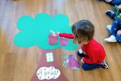 Γνωρίζοντας τα φθινοπωρινά φρούτα (9)