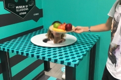 Εκδρομή στο Μουσείο Ψευδαισθήσεων (1)