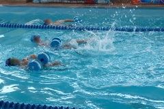 Επιδείξεις Κολύμβησης (2)