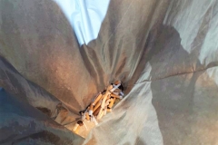 Η ΘΑΛΑΣΣΑ ΕΙΝΑΙ ΖΩΗ - Η ΠΡΟΣΤΑΣΙΑ ΤΗΣ,  ΕΥΘΥΝΗ ΜΑΣ ΣΤΟ ΜΕΛΛΟΝ (4)