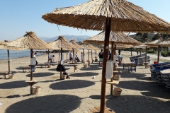 Η ΘΑΛΑΣΣΑ ΕΙΝΑΙ ΖΩΗ - Η ΠΡΟΣΤΑΣΙΑ ΤΗΣ,  ΕΥΘΥΝΗ ΜΑΣ ΣΤΟ ΜΕΛΛΟΝ (6)