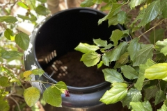 Κομποστοποίηση στο Νηπιαγωγείο μας (1)