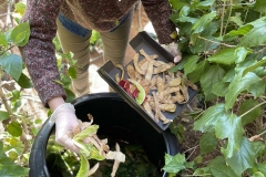 Κομποστοποίηση στο Νηπιαγωγείο μας (2)