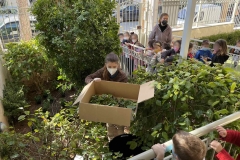 Κομποστοποίηση στο Νηπιαγωγείο μας (6)