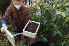 Κομποστοποίηση στο Νηπιαγωγείο μας (7)