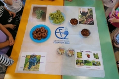 Μαθαίνοντας για το σταφύλι (1)