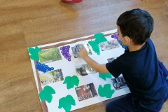 Μαθαίνοντας για το σταφύλι (2)