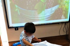 Μαθαίνοντας για το σταφύλι (6)