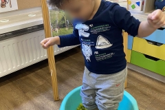 Μαθαίνοντας για το σταφύλι (8)