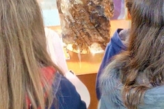 Μουσείο Ορυκτολογίας και Πετρολογίας (1)