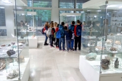 Μουσείο Ορυκτολογίας και Πετρολογίας (2)
