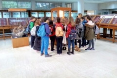 Μουσείο Ορυκτολογίας και Πετρολογίας (4)