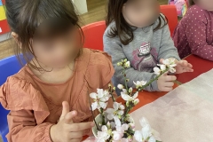 Οι αλκυονίδες μέρες και ο μύθος της αμυγδαλιάς. (2)