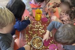 Οι αλκυονίδες μέρες και ο μύθος της αμυγδαλιάς. (3)