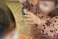 Οι αλκυονίδες μέρες και ο μύθος της αμυγδαλιάς. (5)