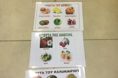 Παγκόσμια Ημέρα Διατροφής (3)