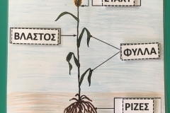 Παγκόσμια Ημέρα Διατροφής (8)