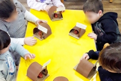 Ζώα σε χειμερία νάρκη (5)