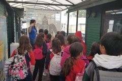 προστασία των απειλούμενων θαλάσσιων χελωνών (1)