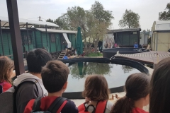 προστασία των απειλούμενων θαλάσσιων χελωνών (2)