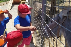 Στιγμές διασκέδασης στο Summer Camp (2)