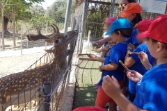 Στιγμές διασκέδασης στο Summer Camp (4)