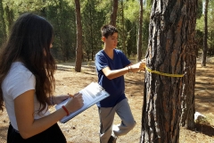 εκπαιδευτική εκδρομή λυκείου 9