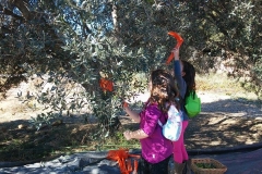 12233520_10206695997510057_2147283051_n