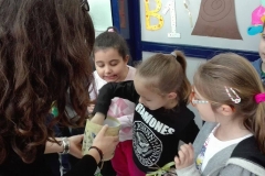 Martakia A dimotikou 1