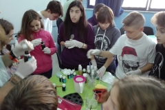 Παγκόσμια ημέρα αναπηρίας  στ δημοτικού(14)