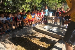 Μαθαίνουμε για το σταφύλι (6)