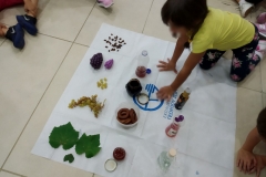 Μαθαίνουμε για το σταφύλι (7)