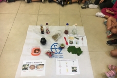 Μαθαίνουμε για το σταφύλι (8)