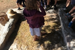 Μαθαίνουμε για το σταφύλι (9)